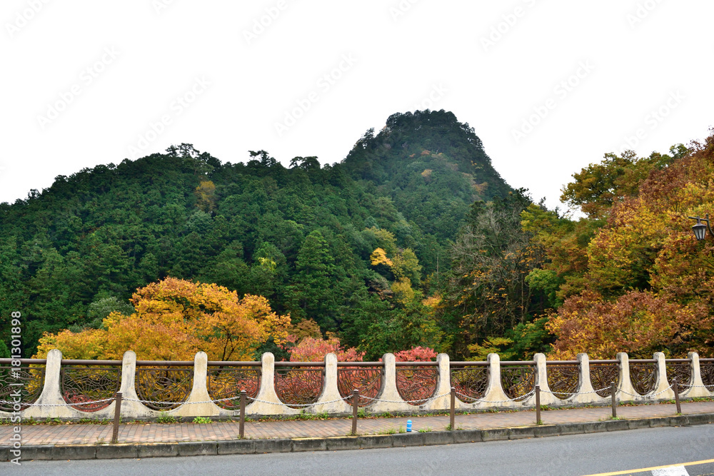  秋の奥多摩 氷川大橋と紅葉