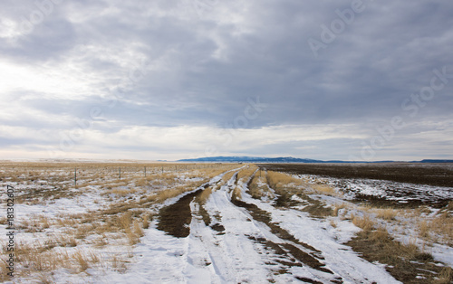 A snowy dirt road through a field with dried grass leading to distant mountains. Cloudy sky is above.