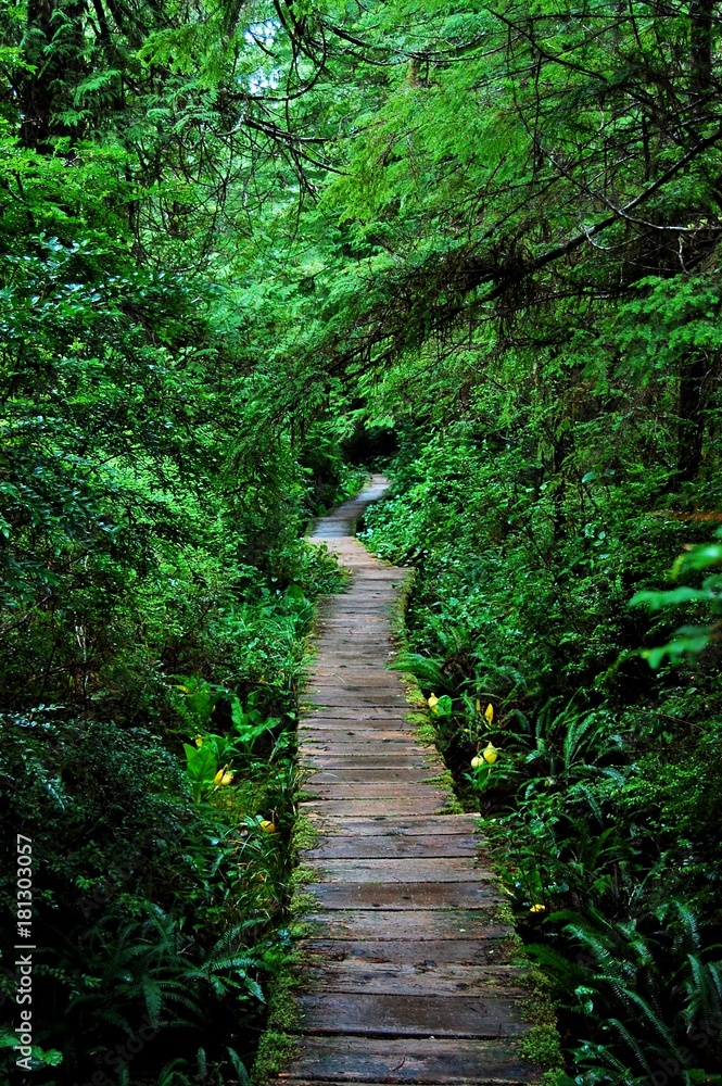 Hiking trail Hiking trail