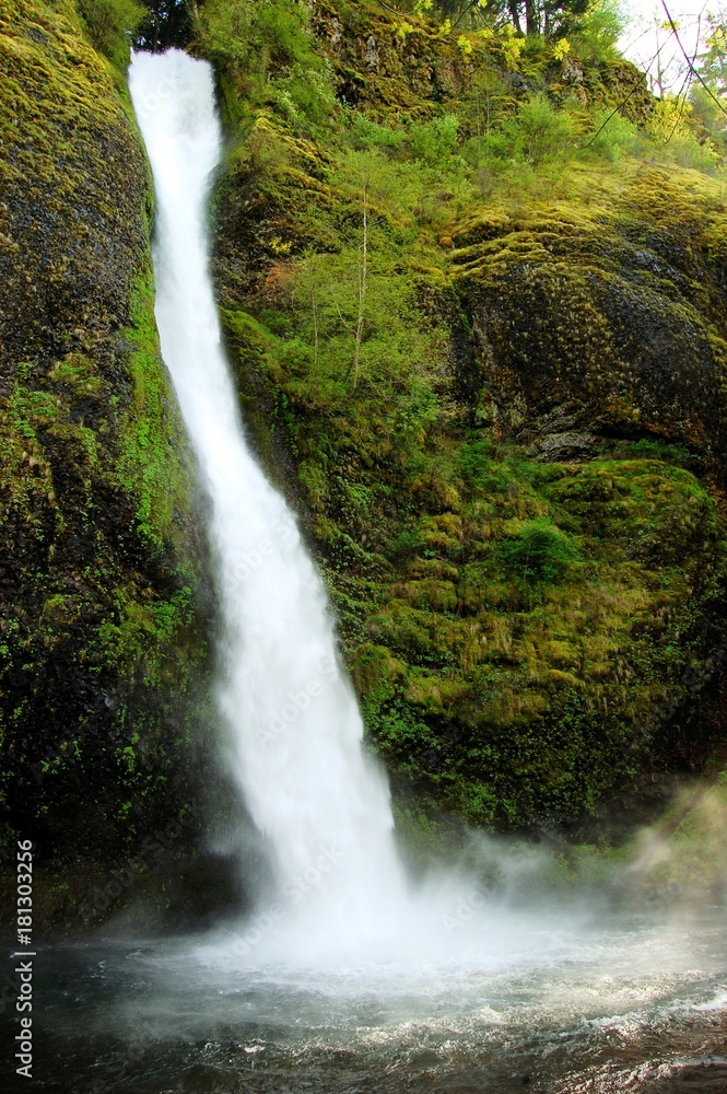 Obraz premium Oregon Waterfall