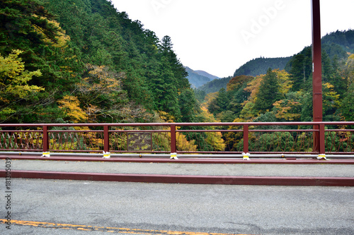 秋の奥多摩 昭和橋と山並み