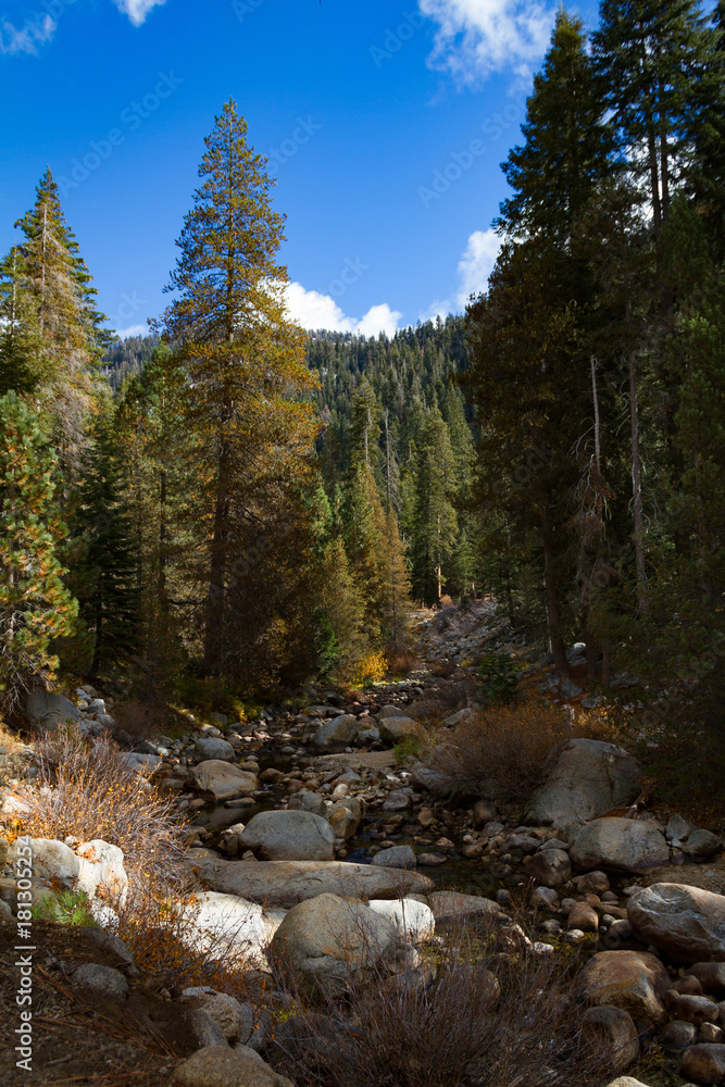Big Blue sky, river and pine trees of the Tokopah Falls trail in Sequoia and Kings Canyon National Park in the fall. Big Blue sky, river and pine trees of the Tokopah Falls trail in Sequoia and Kings Canyon National Park in the fall.