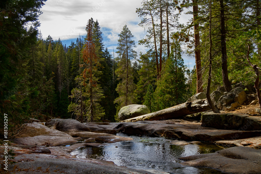 Gorgeous view of Sequoia and Kings Canyon National Park on the Tokopah Falls Trail. Gorgeous view of Sequoia and Kings Canyon National Park on the Tokopah Falls Trail.