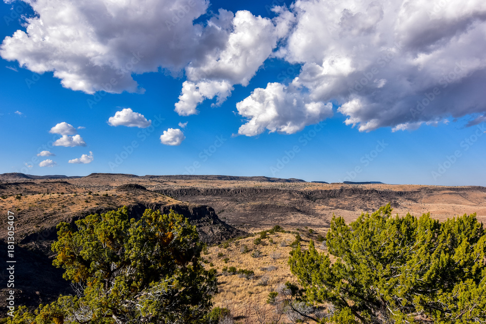 Obraz premium Ft. Davis Texas Landscape4