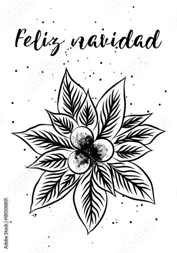 Feliz Navidad, lettering Christmas and New Year holiday calligraphy phrase on Spanish. Brush ink typography card, flyer, poster design. Vector.