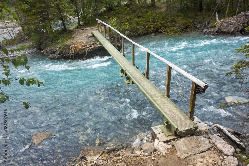 Foto de Bridge Crossing of Robson River in Kinney Flats on Berg Lake