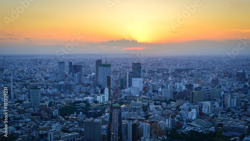 Photography Cityscape of Tokyo, Japan