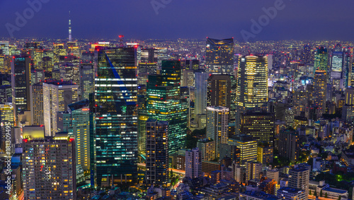 Fotografia Night scene of Tokyo, Japan