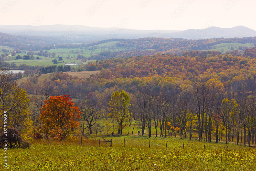 Foggy morning at the autumn park. Park panorama with Appalachian mountain on horizon, Virginia, USA