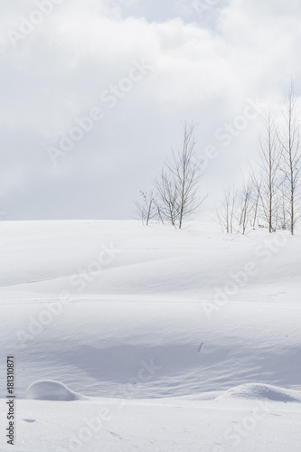 雪景色 © nakaken