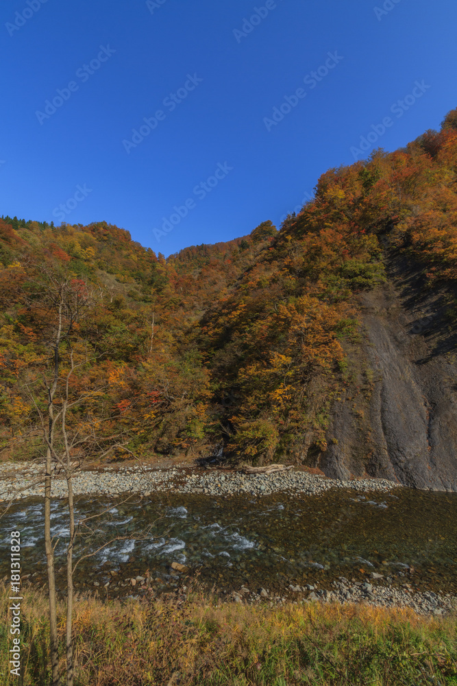 秋の清津川の風景