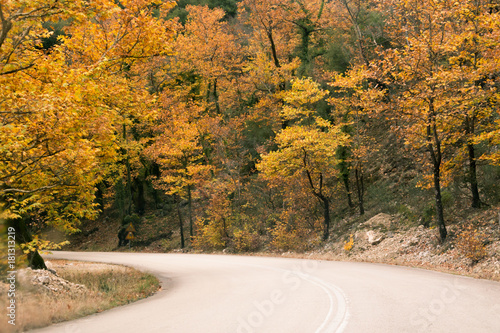 autumn road yellow leaves in Tzoumerka Eprirus Greece
