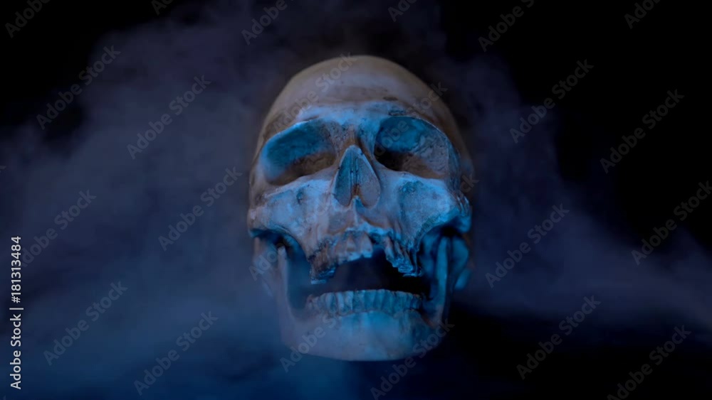 Skull in Smoke Skull in Smoke
