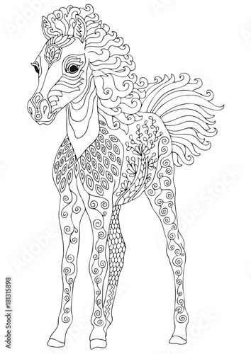 Foal. Hand drawn horse. Sketch for anti-stress adult coloring book in zen-tangle style. Vector illustration for coloring page.