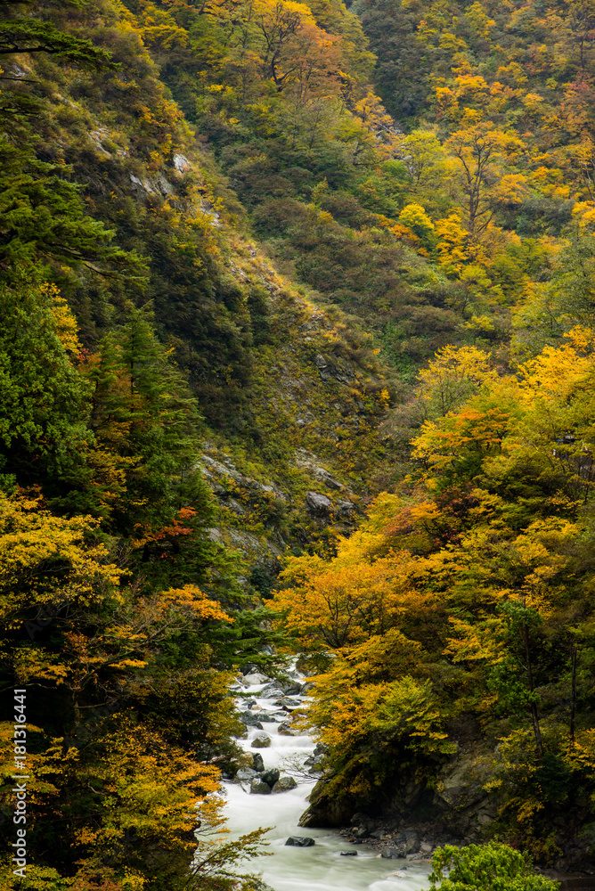 Kurobe Gorge, Toyama, Japan