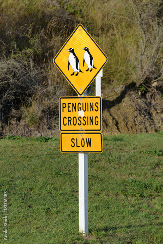 Yellow Penguins crossing sign in Oamaru, New Zealand