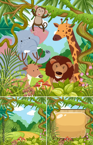 Nature scenes with wild animals in jungle