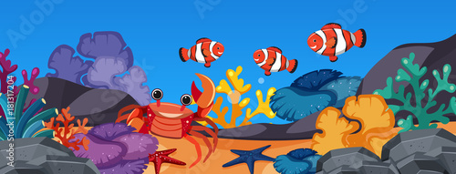 Clownfish and crab under the ocean