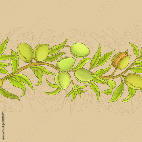 almond vector pattern