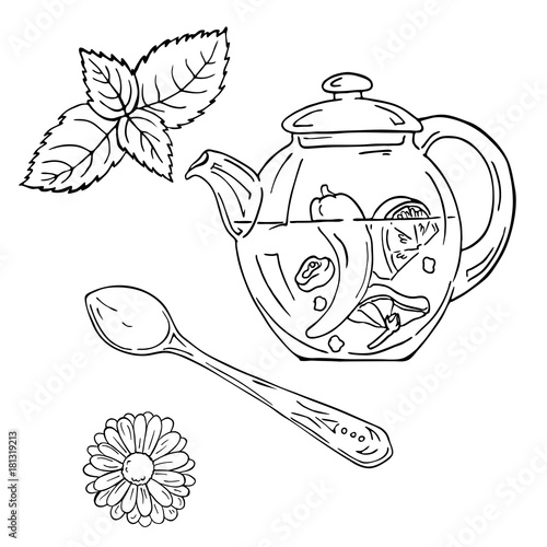 Teapot with tea, teaspoon and herbs sketch. Hand drawn vector illustration. Cartoon ink sketch.