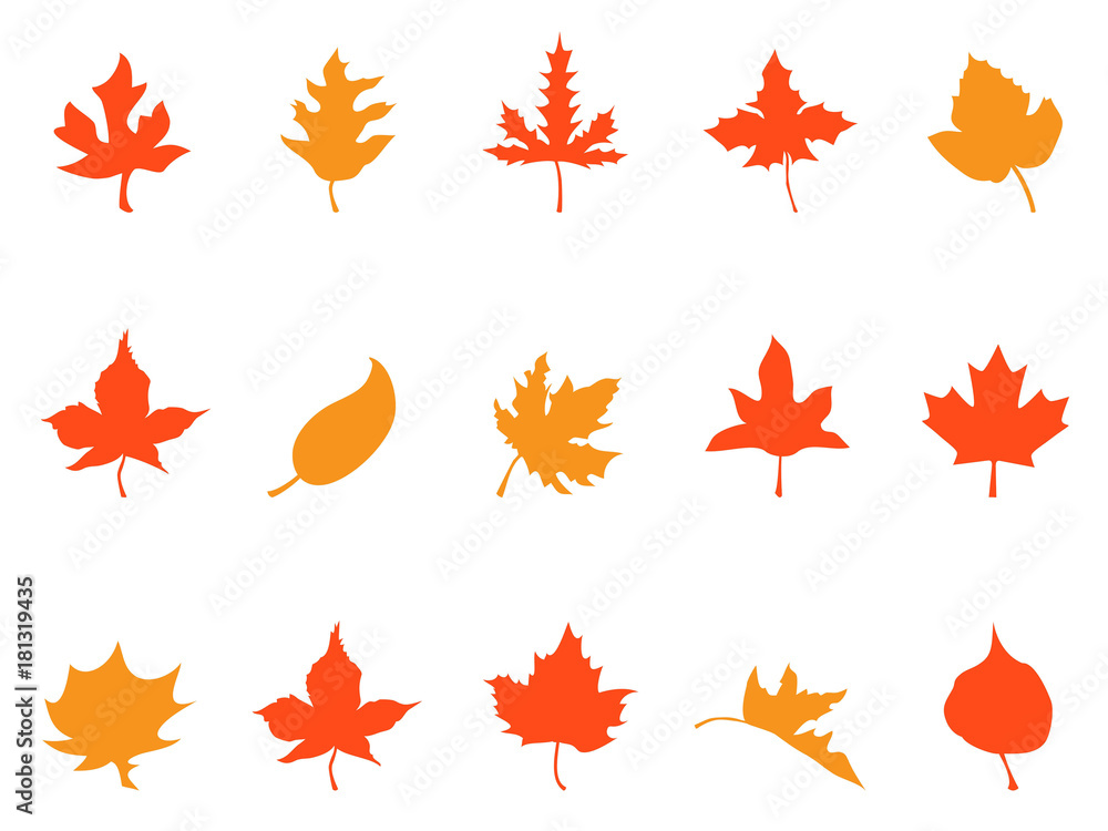 color autumn leaves patterns icons color autumn leaves patterns icons
