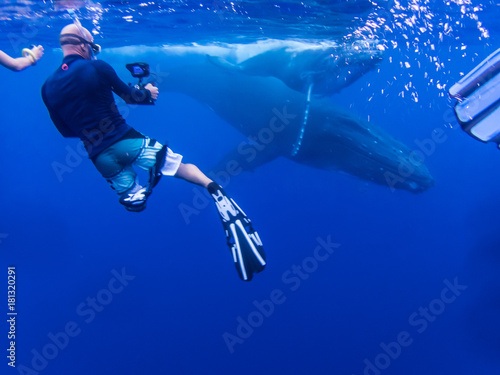 Fototapeta Naklejka Na Ścianę i Meble -  Photographier les baleines