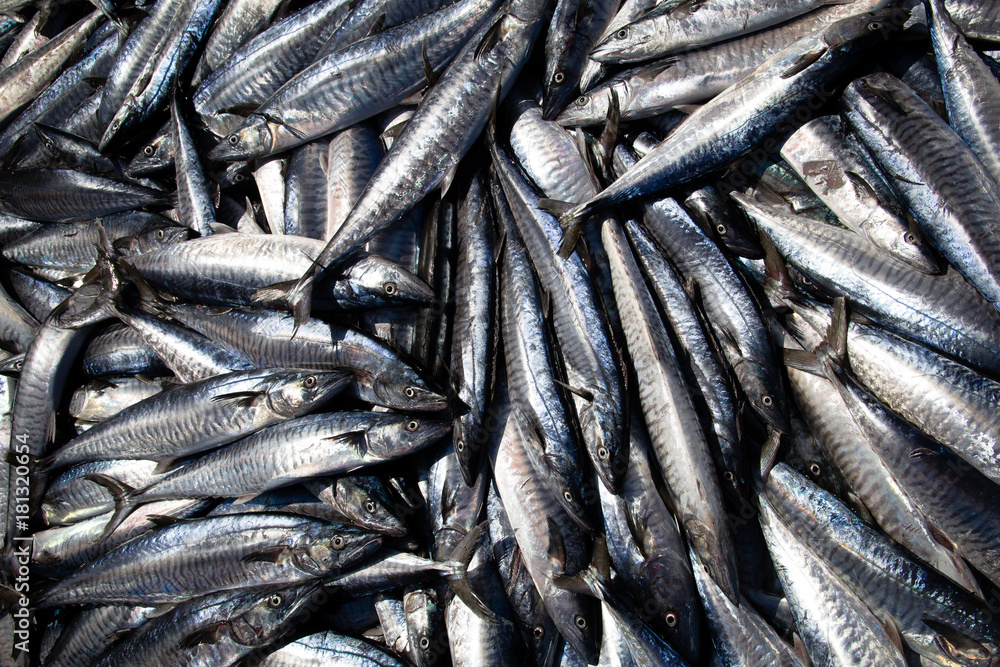 Fresh fish in the traditional market asian Fresh fish in the traditional market asian