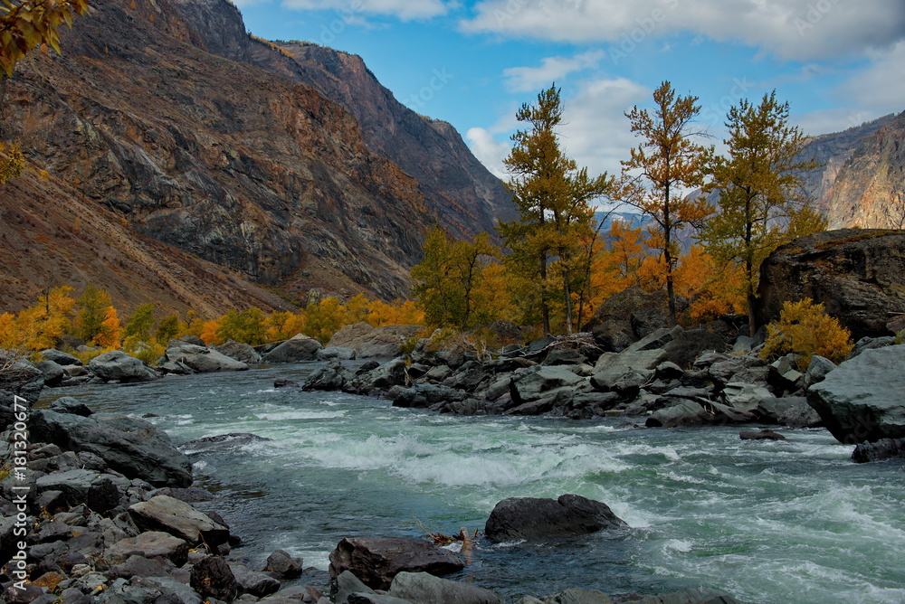 beria. Altai Mountains, Aautumn on the river Chulyshman beria. Altai Mountains, Aautumn on the river Chulyshman
