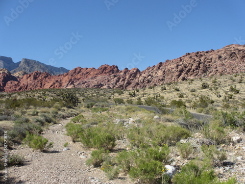 Scenery at the Red Rocks in Nevada near Las Vegas, USA