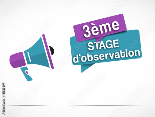 mégaphone : 3ème stage d'observation