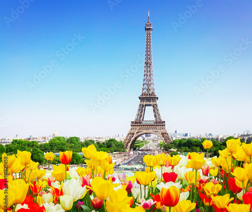 Eiffel Tower and Paris skyline in spring sunny day with tulips, France, retro toned