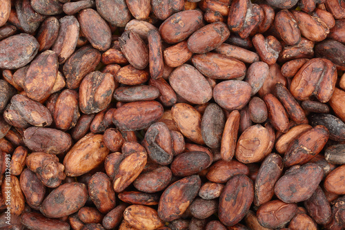 unpeeled cocoa bean as a background top view