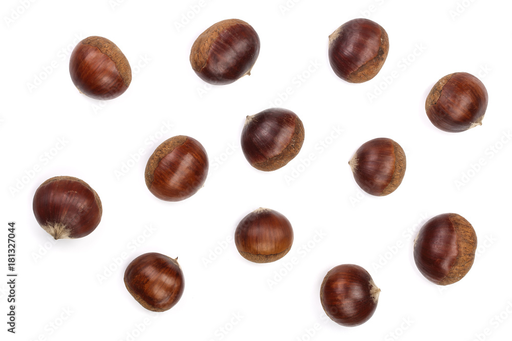 chestnut isolated on white background. Top view chestnut isolated on white background. Top view
