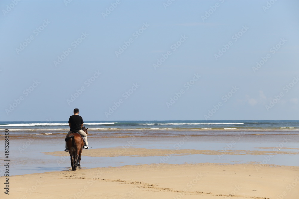 Naklejka premium Man Riding Horse on beach ocean wave and horse feeder