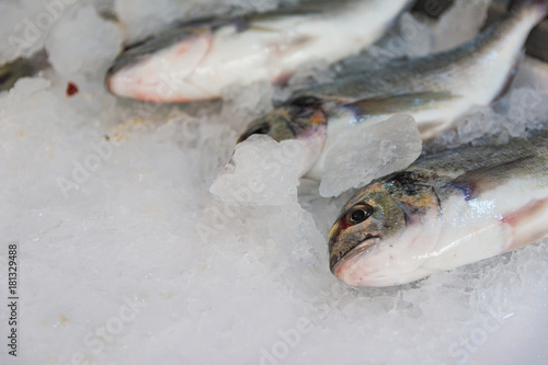 Close-Up Of Freshly Caught Gilt-Head Sea Bream Or Sparus Aurata On Ice Lined Up For Sale In The Greek Fish Market