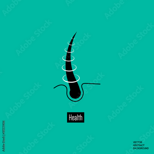 Hair follicle. Cross-section of hair. Brittle hair. Hair loss. hair diseases