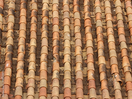 Old Tile Brick Roof Southern Europe in Warm Colors