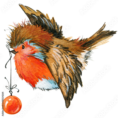 Christmas bird watercolor illustration photo