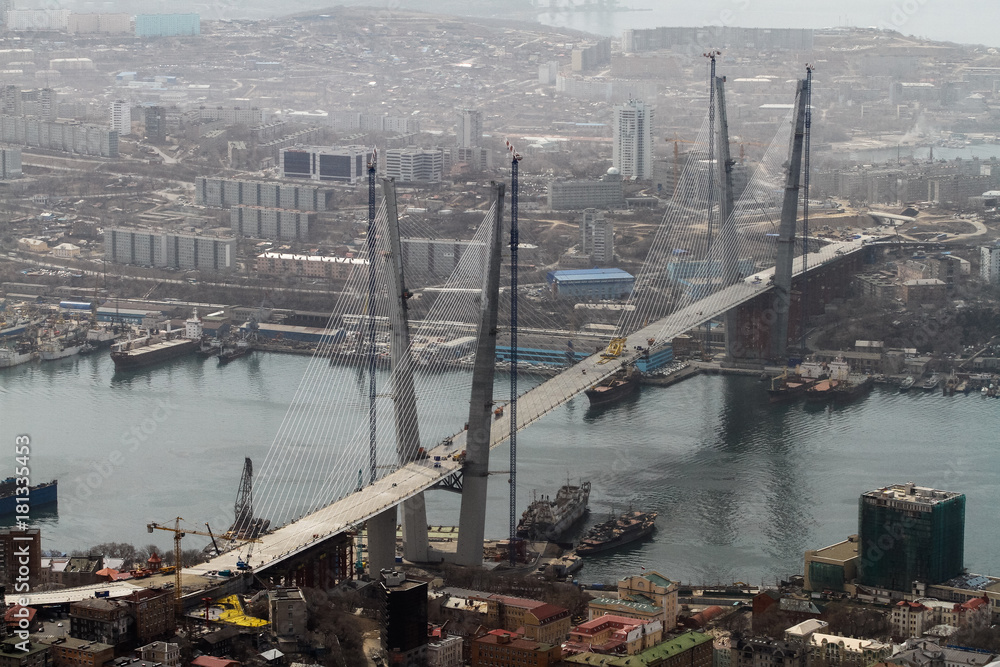 Obraz premium The Zolotoy Golden Bridge is cable-stayed bridge across the Zolotoy Rog (Golden Horn) in Vladivostok, Russia