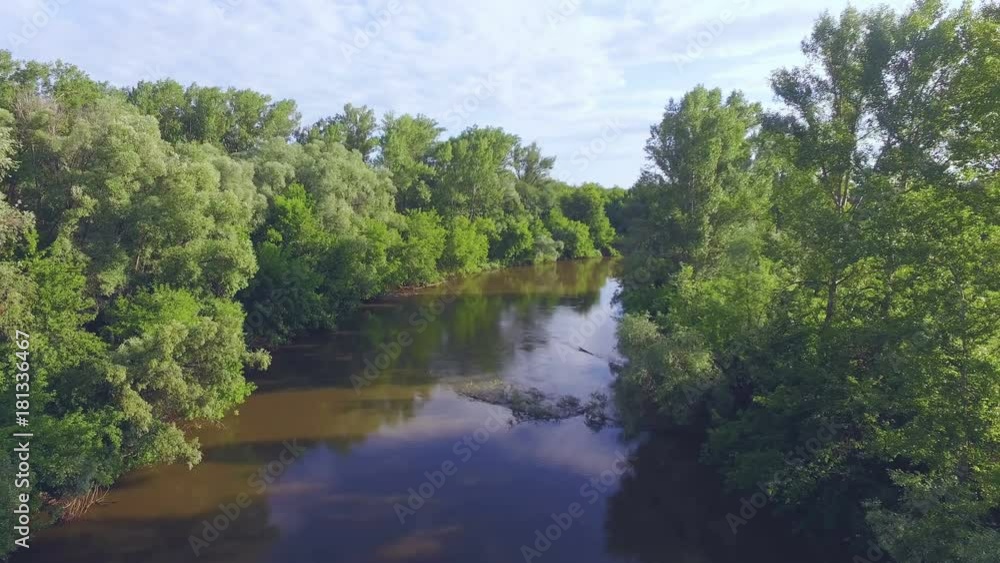 AERIAL: Flight above the river between large trees at sunrise. Beautiful colorful nature, slow water flow, clouds reflected on the water. AERIAL: Flight above the river between large trees at sunrise. Beautiful colorful nature, slow water flow, clouds reflected on the water.