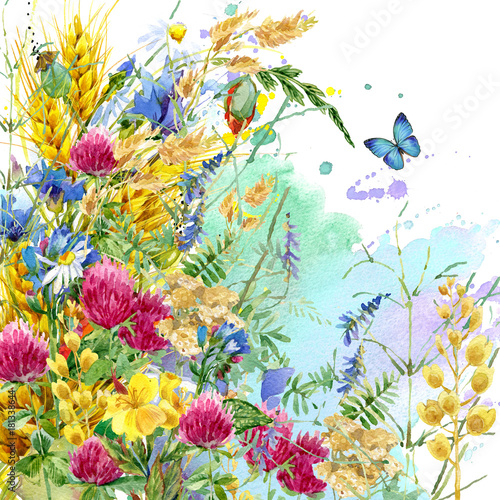 Summer flowers watercolor background