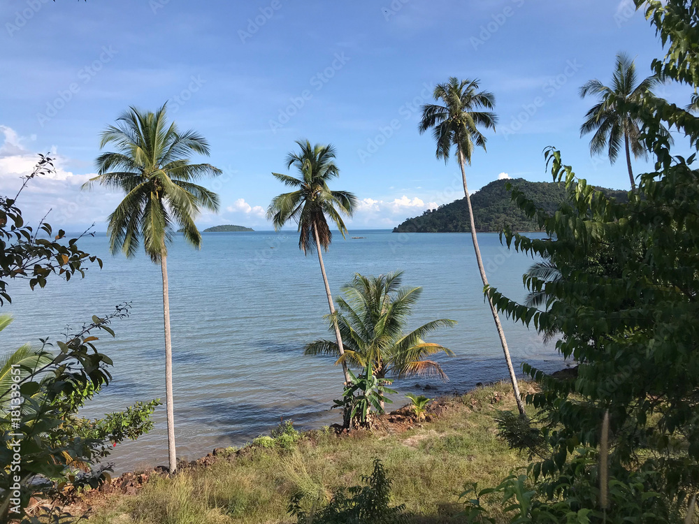 Palmtrees at the coast of Koh Chang island