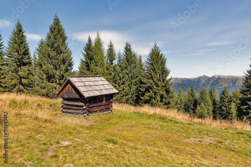 Alpine woods landscape with hunting lodge in Western Carinthia, Austria.