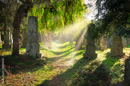 Jüdischer Friedhof im Herbst © Digitalpress