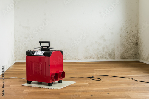 horizontal view of a red dehumidifier in an empty apartment room with a serious toxic mold and mildew problem photo