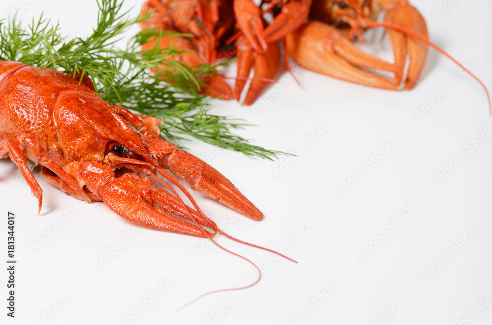 Seafood dish, Red boiled crayfish. Kind of Snacks for beer. Seafood dish, Red boiled crayfish. Kind of Snacks for beer.