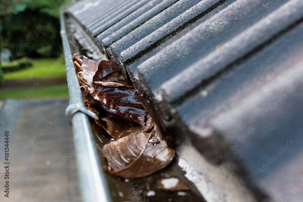 Obraz premium Gutter blocked by leaves 