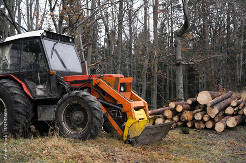 Tractor in the forest - equipment device  and mechanism for mechanized forestry  and lumberjacking. Utility vehicle is in the woods  trees and logs around old retro machine.