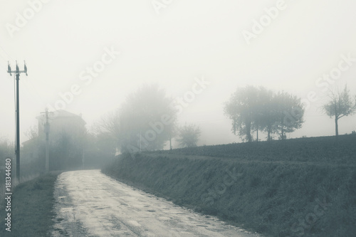 Autumnal landscape, countryside in a foggy day