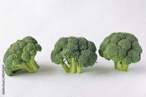 Pieces of broccoli   Branchlets of broccoli as sample of bonsai trees